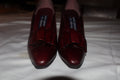 Stuart Weitzman for Mr. Seymour Heels
